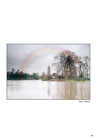 Ref. 195 Rainbow 1   Photos : P. Grateaud




                                            89
 