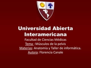 Universidad Abierta InteramericanaFacultad de Ciencias MédicasTema : Músculos de la pelvisMaterias: Anatomía y Taller de informática.Autora:Florencia Canale 