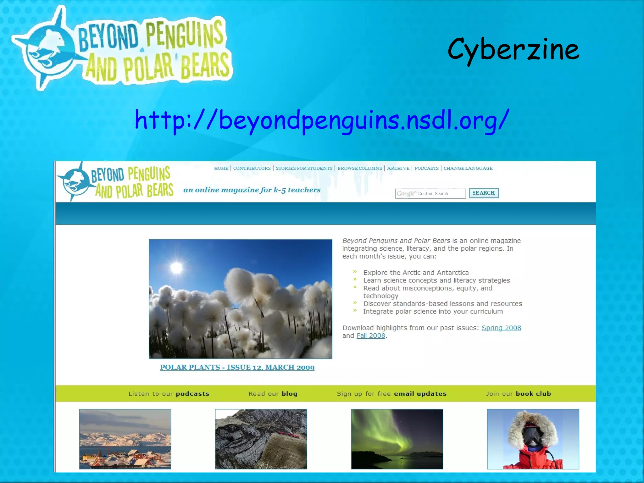 http://beyondpenguins.nsdl.org/ Cyberzine 