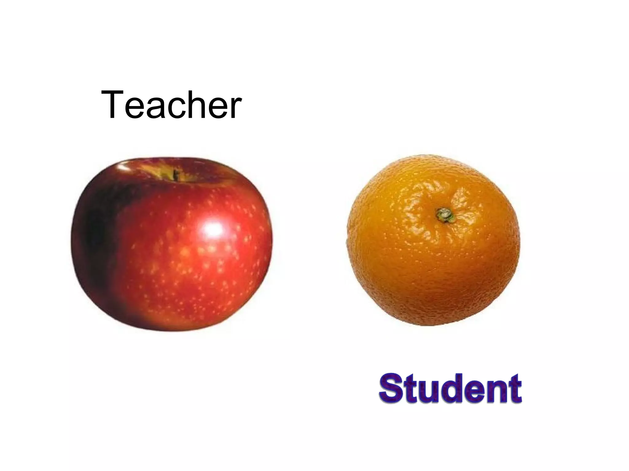 Teacher 