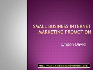 small business internet marketing promotion  Lyndon David http://www.asmallbusinessmarketingtool.com/ 1 