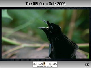 The QFI Open Quiz 2009




                         38
 