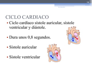 CICLO CARDIACOCiclo cardíaco sístole auricular, sístole ventricular y diástole. Dura unos 0,8 segundos.Sístole auricular Sístole ventricular14"EL CORAZÓN"