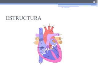 ESTRUCTURA8"EL CORAZÓN"