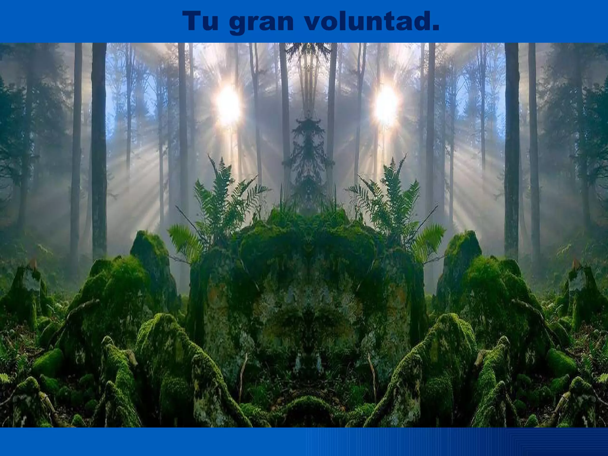 Tu gran voluntad.