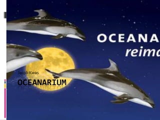 Oceanarium Jacob Kwas 