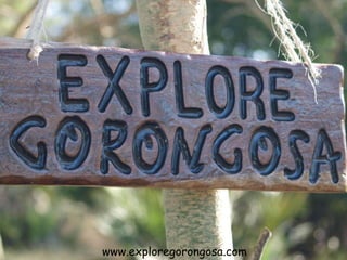 www.exploregorongosa.com