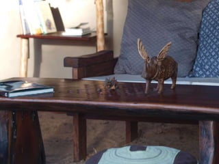 Virtual Mozambique Fam 