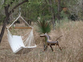 Virtual Mozambique Fam 