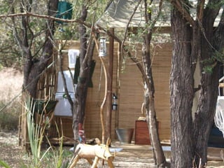 Virtual Mozambique Fam 