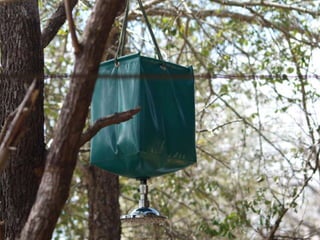 Virtual Mozambique Fam 