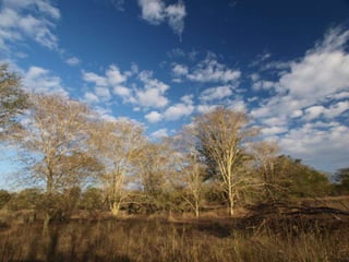 Virtual Mozambique Fam 