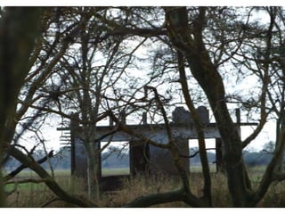 Virtual Mozambique Fam 