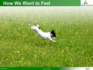 How to Use the Right Tools for Operational Data Integration