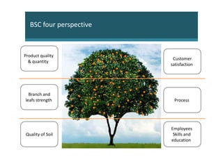 BSC four perspective



Product quality
                           Customer
  & quantity
                          satisfaction




  Branch and
leafs strength             Process




                          Employees
Quality of Soil            Skills and
                          education
 