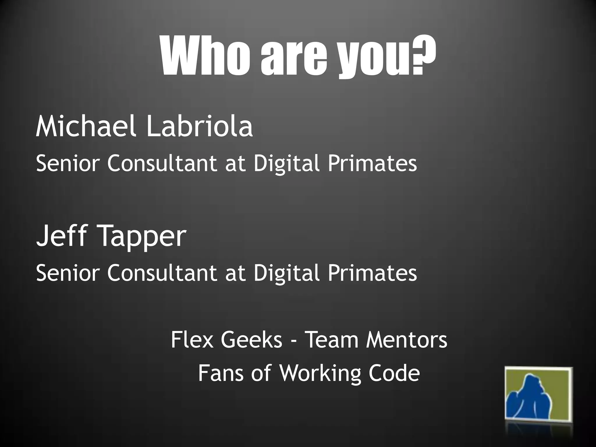 assertYourself - Breaking the Theories and Assumptions of Unit Testing in Flex