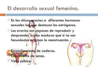 El desarrollo sexual femenino. En las chicas gracias a  diferentes hormonas sexuales las que destacan los estrógenos. Los ovarios son capaces de reproducir y desprender óvulos maduros que si no son fecundados originan la menstruación.  Ensanchamiento de caderas. Crecimiento de senos. Vello púbico.  