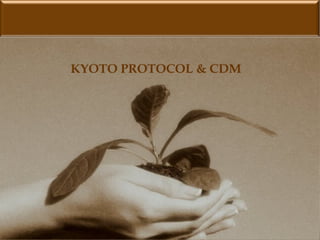 kyoto protocol and cdm