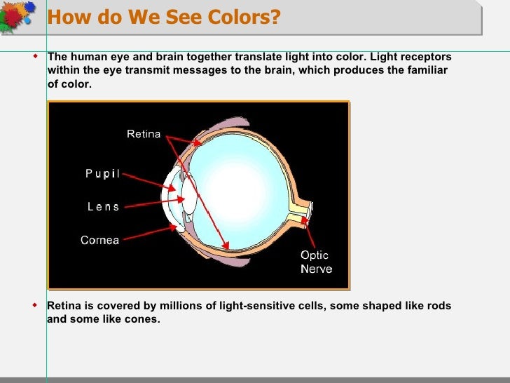 About Color