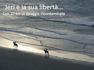 La Vacanza Della Vita