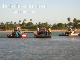 La Vacanza Della Vita