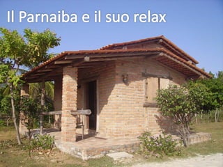 La Vacanza Della Vita