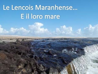 La Vacanza Della Vita