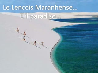 La Vacanza Della Vita