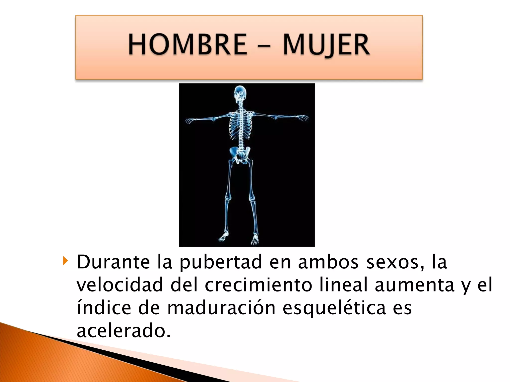 Durante la pubertad en ambos sexos, la velocidad del crecimiento lineal aumenta y el índice de maduración esquelética es acelerado. 