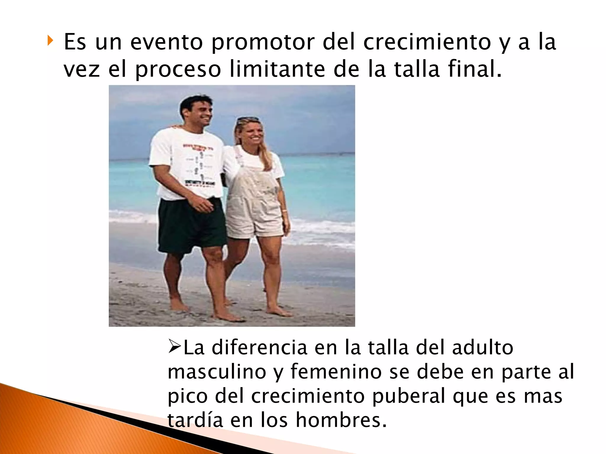 Es un evento promotor del crecimiento y a la vez el proceso limitante de la talla final. La diferencia en la talla del adulto masculino y femenino se debe en parte al pico del crecimiento puberal que es mas tardía en los hombres. 