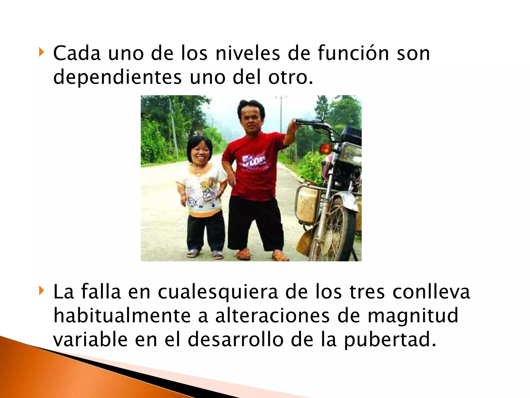 Cada uno de los niveles de función son dependientes uno del otro. La falla en cualesquiera de los tres conlleva habitualmente a alteraciones de magnitud variable en el desarrollo de la pubertad. 
