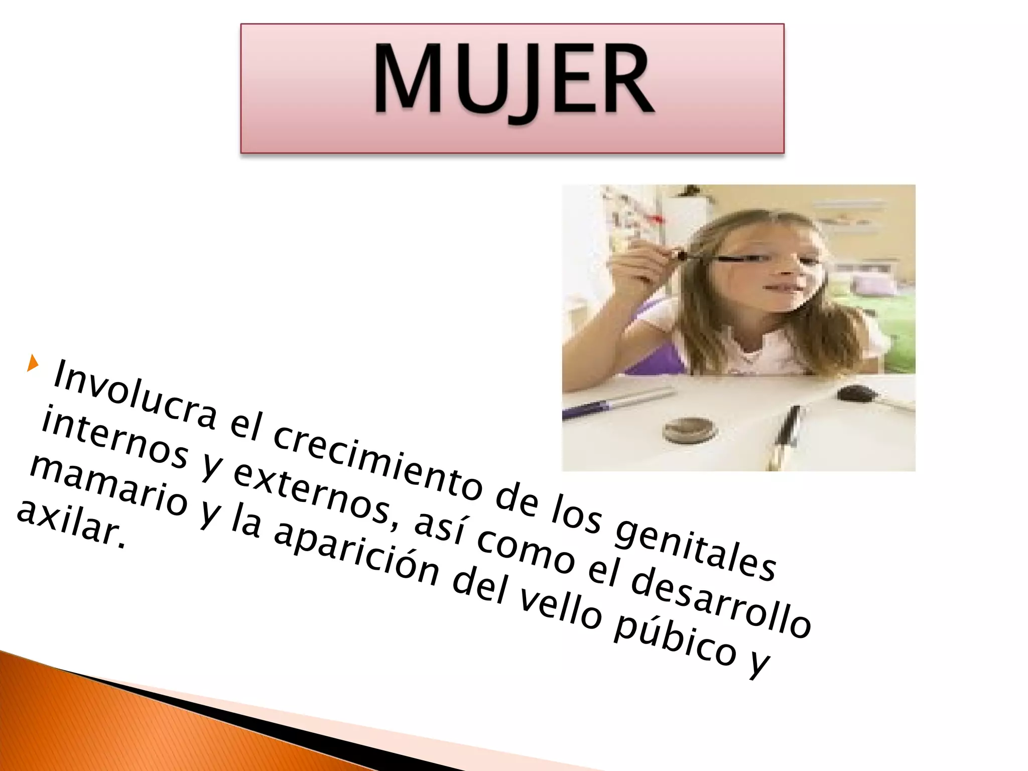 Involucra el crecimiento de los genitales internos y externos, así como el desarrollo mamario y la aparición del vello púbico y axilar. 