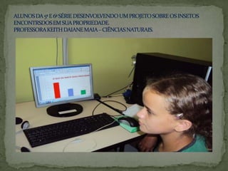 ALUNOS DA 5ª E 6ª SÉRIE DESENVOLVENDO UM PROJETO SOBRE OS INSETOS ENCONTRSDOS EM SUA PROPRIEDADE.PROFESSORA KEITH DAIANE MAIA – CIÊNCIAS NATURAIS.