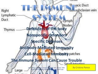 THE IMMUNE SYSTEM Defenders of the body Nonspecific defenders  Specific Defenses Antibody-Mediated Immunity Cell-Mediated Immunity The Immune System Can Cause Trouble Joshi, Mohit. &quot;Top News.&quot; Google. N.p., 2009. Web. 23 Sept. 2009.      &lt;http://www.topnews.in/health/files/immune~system.jpg&gt;. By Cristina Ponce 