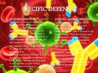 SPECIFIC DEFENSESACQUIRED IMMUNITY-  Is what we cause our immune system to become within the duration of our lives.  Then there is passively immunity which is given to us by others (antibodies).  Third there is actively acquired immunity which is a development of antigen( stimulate and combine with antibodies). For example when we get injected for shots that will prevent us from getting sick or diseases, infections, we inject a little bit of that enemy microorganism in us so that we become familiar with it and are able to fight it off it actually come to attack us. ACTIVELY AQUIRED IMMUNITY-Lymphocytes are the white blood cells of the (AAI). At times they travel to the thymus which is lymphatic tissue= that is located at the base of throat. Then developing into T-lymphocyte cells a.k.a T cells (t stands for thymus). B-lymphocyte a.k.a B cells remain in the bone marrow. 2 major arms-antibody mediated immunity which produces circular antibodies (protein). Cell-mediated immunity which kills and destroys other cells in the body that have become a threat to the system. Antibodies. N.d. Goggle Images. Google, n.d. Web. 19 Sept. 2009.      <http://medicues.com>. 