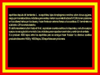 españoles después del bombardeo. Los españoles, lejos de replegarse o rendirse, salen de sus agujeros, reagrupan los restos de las unidades supervivientes, montan sus ametralladoras MG34, toman posiciones en los cráteres hechos por los obuses y hacen frente con extrema fiereza a los soviéticos. El termómetro no subió de lo -25º durante la batalla. Batallones enteros luchan hasta el final, se producen cruentos asaltos a la bayoneta y se lucha cuerpo a cuerpo una vez agotada la munición, las unidades que son copadas no se rinden y continúan el combate. Se producen 4000 bajas entre los españoles pero se consigue hacer fracasar la ofensiva soviética produciéndoles entre 11000 y 14000 bajas, 300 españoles caen prisioneros.   