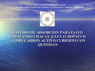 ESTUDIO DE ADSORCION PARA Cr (VI) UTILIZANDO   CHACAY  ( ULEX EUROPAEUS )  COMO CARBON ACTIVO  CUBIERTO  CON QUITOSAN UNIVERSIDAD DE LOS LAGOS DEPARTAMENTO DE RECURSOS NATURALES Y MEDIO AMBIENTE 