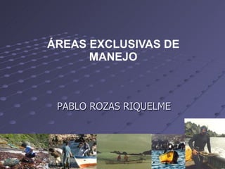 ÁREAS EXCLUSIVAS DE MANEJO PABLO ROZAS RIQUELME 