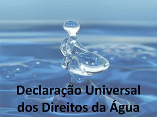 Declaração Universal dos Direitos da Água 