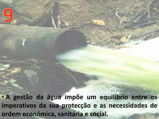 Declaração Universal dos Direitos Da áGua