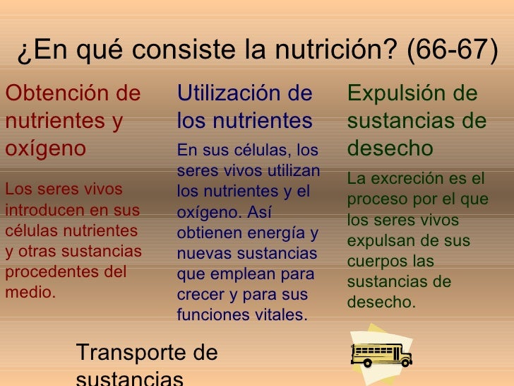 Ud 5 La Nutricion En Los Seres Vivos Ud 5 La Nutricion En Los Seres Vivos