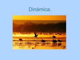 Dinámica.