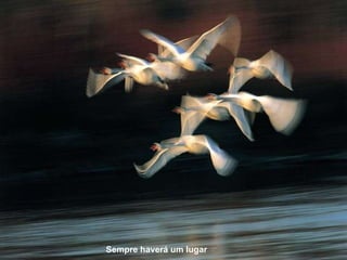 Sempre haverá um lugar 