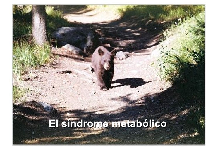 Diabetes Tipo 2 del niño y adolescente. ¿Igual que en el adulto?