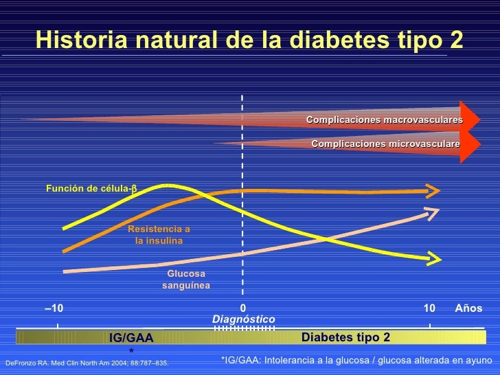 El Mapa Fisiopatológico de la diabetes tipo 2 El Mapa Fisiopatológico de la diabetes tipo 2