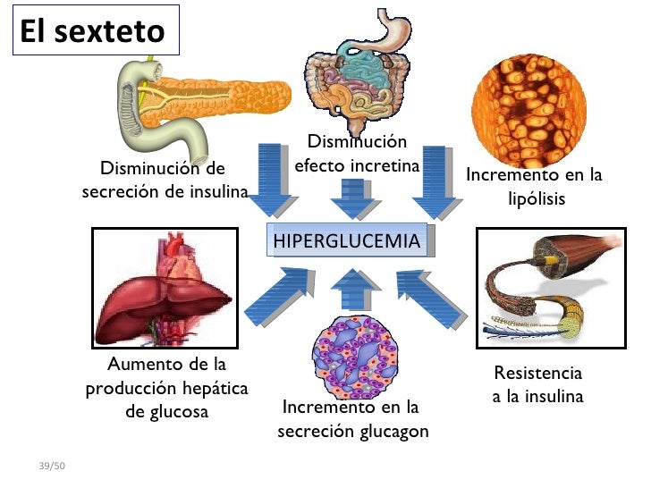 El Mapa Fisiopatológico de la diabetes tipo 2 El Mapa Fisiopatológico de la diabetes tipo 2