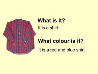 What is it? It is a shirt What colour is it? It is a red and blue shirt 