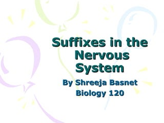 Suffixes in the  Nervous System By Shreeja Basnet Biology 120 