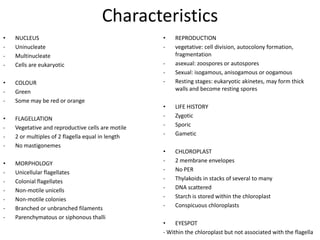 CharacteristicsNUCLEUSUninucleate