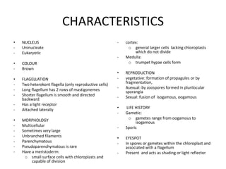 the eyespot operates by intercepting (shading) and/or reflecting (increasing the illumination) light onto the photoreceptor pigment, which is localized in either the plasma or chloroplast membranes over the eyespot